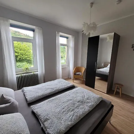 Im Moseltal Apartment Bruttig-Fankel