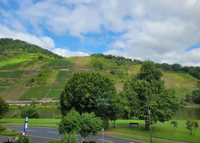 Im Moseltal * Bruttig-Fankel